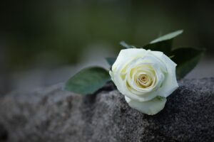 white rose, grey marble, purity symbol