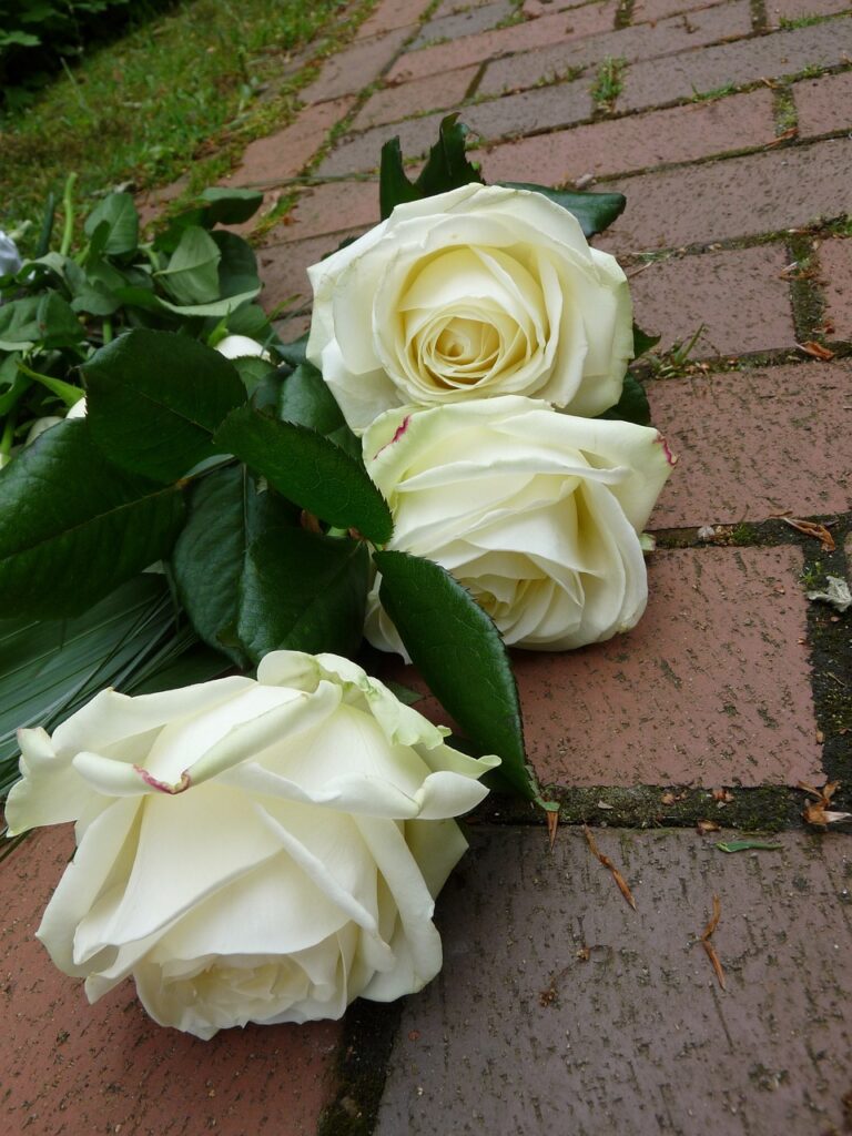 roses, white, funeral